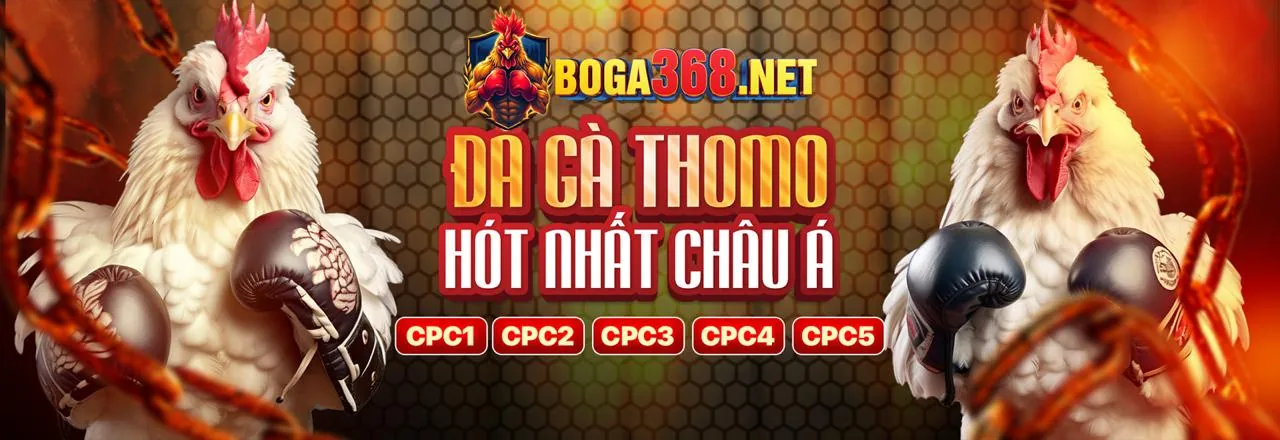 Đá Gà Trực Tuyến Hấp Dẫn tại qq8889